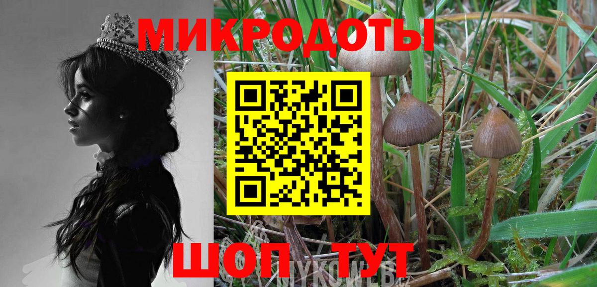 Галлюциногенные грибы Magic Shrooms  Вход с VPN  Нарьян-Мар  Галлюциногенные грибы мухоморы 